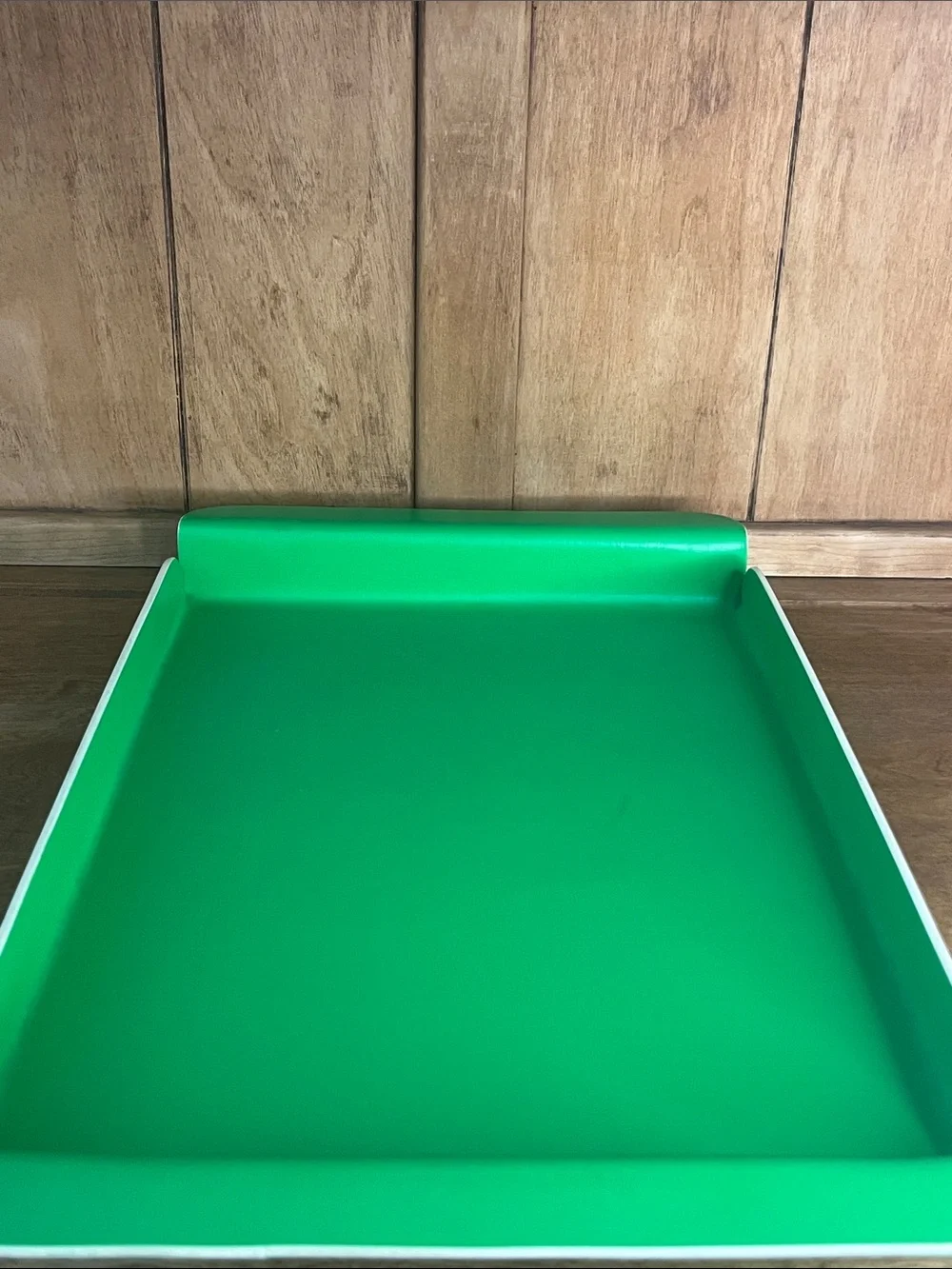 MCM-Kelly Green W/Rolled Edges & White Trim.  Great Retro Tray!